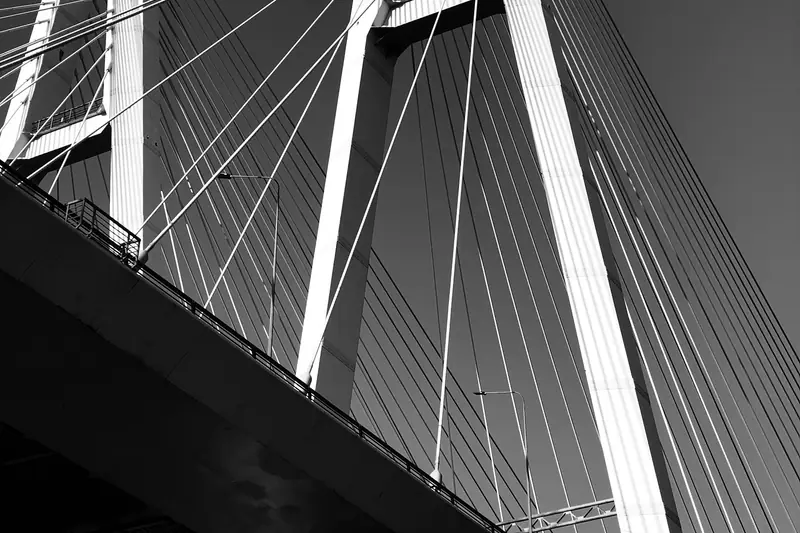 A cable-stayed bridge in black and white